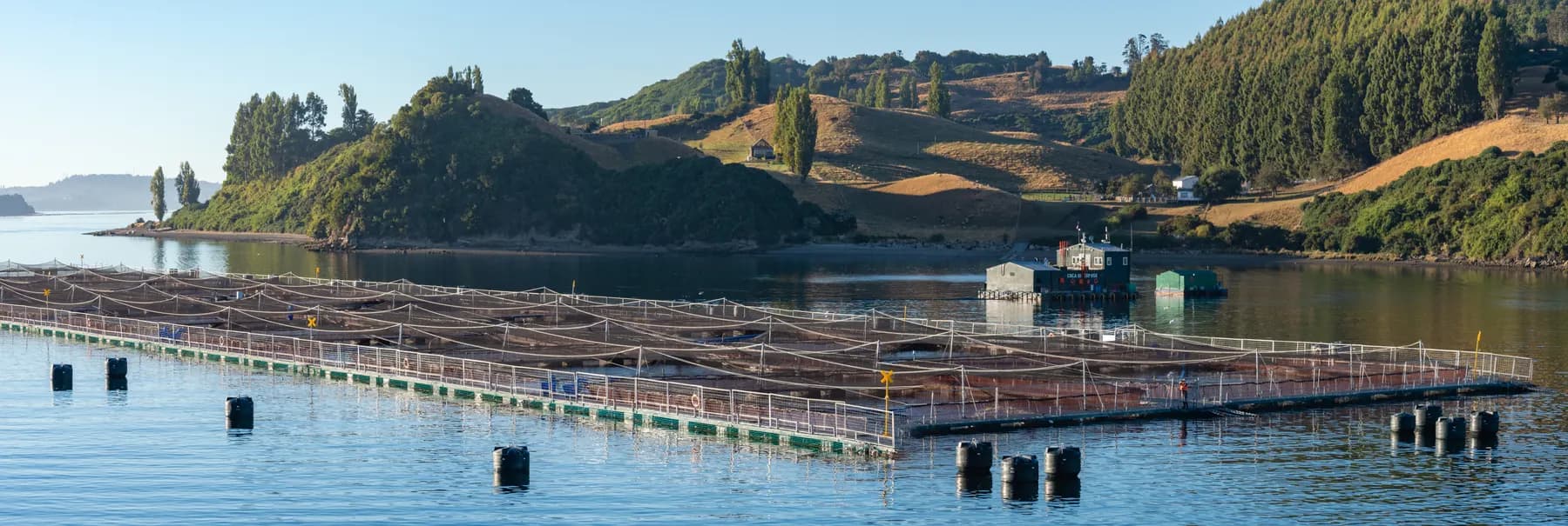 Commercial aquaculture pens and a floating service facility in the coastal waters south of Castro, Chile.